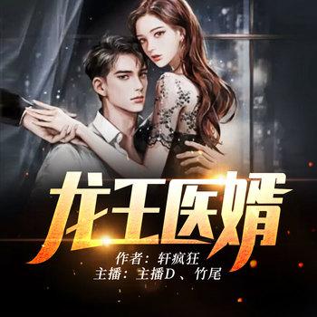 龙王医婿有声小说