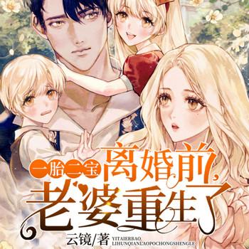 一胎二宝：离婚前，老婆重生了有声小说