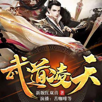 武道凌天(多人剧)有声小说