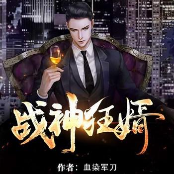 战神狂婿(多人剧)有声小说