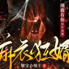 麻衣狂婿有声小说