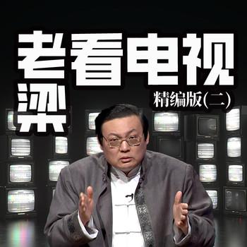老梁看电视精编版(多人剧)有声小说