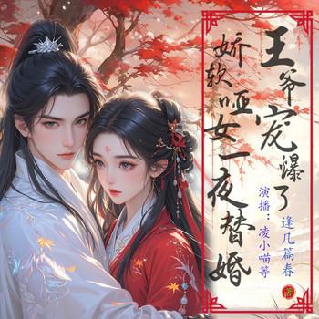 娇软哑女一夜替婚，王爷宠爆了(多人剧)有声小说