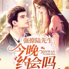强撩陆先生:今晚约会吗有声小说