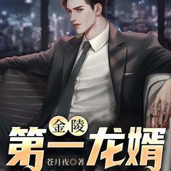 上门佳婿有声小说