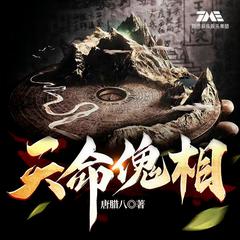 天命傀相丨悬疑灵异丨风水盗墓丨VIP免费丨多人有声剧有声小说