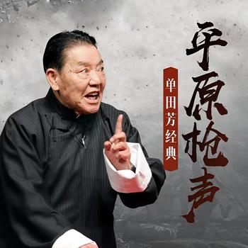 单田芳-平原枪声有声小说